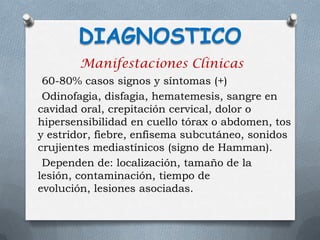 Manifestaciones Clinicas
60-80% casos signos y síntomas (+)
Odinofagia, disfagia, hematemesis, sangre en
cavidad oral, crepitación cervical, dolor o
hipersensibilidad en cuello tórax o abdomen, tos
y estridor, fiebre, enfisema subcutáneo, sonidos
crujientes mediastínicos (signo de Hamman).
Dependen de: localización, tamaño de la
lesión, contaminación, tiempo de
evolución, lesiones asociadas.
DIAGNOSTICO
 