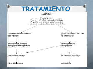 TRATAMIENTO
 