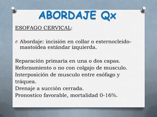 ESOFAGO CERVICAL:
O Abordaje: incisión en collar o esternocleido-
mastoidea estándar izquierda.
Reparación primaria en una o dos capas.
Reforzamiento o no con colgajo de musculo.
Interposición de musculo entre esófago y
tráquea.
Drenaje a succión cerrada.
Pronostico favorable, mortalidad 0-16%.
ABORDAJE Qx
 