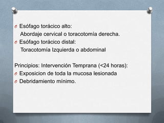 O Esófago torácico alto:
Abordaje cervical o toracotomía derecha.
O Esófago torácico distal:
Toracotomía Izquierda o abdominal
Principios: Intervención Temprana (<24 horas):
O Exposicion de toda la mucosa lesionada
O Debridamiento mínimo.
 