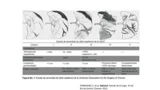 TOWNSEND, C. et al. Sabiston Tratado de Cirurgia. 19 ed.
Rio de Janeiro: Elsevier, 2015.
 