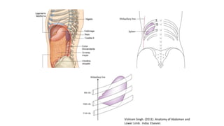 Vishram Singh. (2011). Anatomy of Abdomen and
Lower Limb . India: Elsevier.
 
