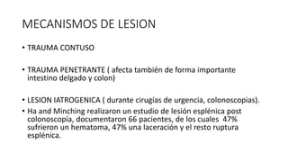MECANISMOS DE LESION
• TRAUMA CONTUSO
• TRAUMA PENETRANTE ( afecta también de forma importante
intestino delgado y colon)
• LESION IATROGENICA ( durante cirugías de urgencia, colonoscopias).
• Ha and Minching realizaron un estudio de lesión esplénica post
colonoscopía, documentaron 66 pacientes, de los cuales 47%
sufrieron un hematoma, 47% una laceración y el resto ruptura
esplénica.
 
