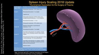 Splenic Injury Classification Comprehensive Imaging and Classification of Splenic Trauma in Abdominal ...