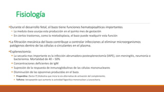 Fisiología
Durante el desarrollo fetal, el bazo tiene funciones hematopoyéticas importantes
• La medula ósea usurpa esta producción en el quinto mes de gestación
• En ciertos trastornos, como la mielodisplasia, el bazo puede readquirir esta función
La filtración mecánica del bazo contribuye a controlar infecciones al eliminar microorganismos
patógenos dentro de las células o circulantes en el plasma.
Esplenectomía:
 La secuela mas importante es la infección abrumadora postesplenectomía (lAPE), con meningitis, neumonía o
bacteriemia. Mortalidad de 40 – 50%
 Concentraciones deficientes de IgM
 Supresión de la respuesta de inmunoglobulinas de las células mononucleares
 Disminución de las opsoninas producidas en el bazo.
 Properdina: (factor P) Globulina que inicia la vía alternativa de activación del complemento;
 Tuftsina: tetrapeptido que aumenta la actividad fagocítica mononuclear y Leucocitaria.
 
