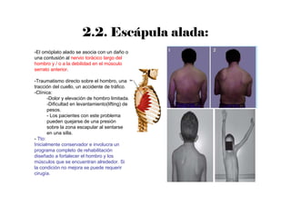 2.2. Escápula alada:
-El omóplato alado se asocia con un daño o
una contusión al nervio torácico largo del
hombro y / o a la debilidad en el músculo
serrato anterior.
-Traumatismo directo sobre el hombro, una
tracción del cuello, un accidente de tráfico.
-Clínica:
-Dolor y elevación de hombro limitada.
-Dificultad en levantamiento(lifting) de
pesos.
- Los pacientes con este problema
pueden quejarse de una presión
sobre la zona escapular al sentarse
en una silla.
- Tto:
Inicialmente conservador e involucra un
programa completo de rehabilitación
diseñado a fortalecer el hombro y los
músculos que se encuentran alrededor. Si
la condición no mejora se puede requerir
cirugía.
 