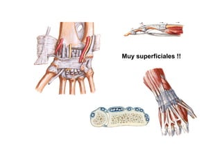 Muy superficiales !!
 