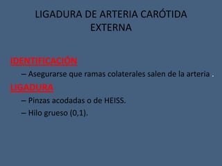 IDENTIFICACIÓN
– Asegurarse que ramas colaterales salen de la arteria .
LIGADURA
– Pinzas acodadas o de HEISS.
– Hilo grueso (0,1).
LIGADURA DE ARTERIA CARÓTIDA
EXTERNA
 