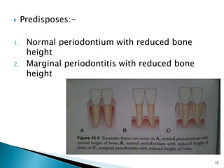  Predisposes:-
1. Normal periodontium with reduced bone
height
2. Marginal periodontitis with reduced bone
height
10
 