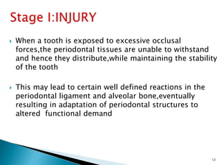  When a tooth is exposed to excessive occlusal
forces,the periodontal tissues are unable to withstand
and hence they distribute,while maintaining the stability
of the tooth
 This may lead to certain well defined reactions in the
periodontal ligament and alveolar bone,eventually
resulting in adaptation of periodontal structures to
altered functional demand
12
 