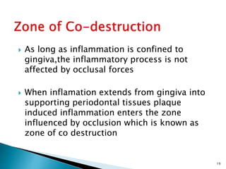  As long as inflammation is confined to
gingiva,the inflammatory process is not
affected by occlusal forces
 When inflamation extends from gingiva into
supporting periodontal tissues plaque
induced inflammation enters the zone
influenced by occlusion which is known as
zone of co destruction
19
 