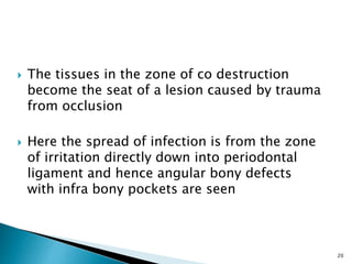  The tissues in the zone of co destruction
become the seat of a lesion caused by trauma
from occlusion
 Here the spread of infection is from the zone
of irritation directly down into periodontal
ligament and hence angular bony defects
with infra bony pockets are seen
20
 