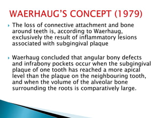  The loss of connective attachment and bone
around teeth is, according to Waerhaug,
exclusively the result of inflammatory lesions
associated with subgingival plaque
 Waerhaug concluded that angular bony defects
and infrabony pockets occur when the subgingival
plaque of one tooth has reached a more apical
level than the plaque on the neighbouring tooth,
and when the volume of the alveolar bone
surrounding the roots is comparatively large.
 