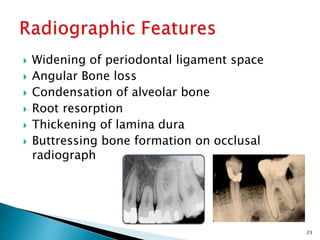  Widening of periodontal ligament space
 Angular Bone loss
 Condensation of alveolar bone
 Root resorption
 Thickening of lamina dura
 Buttressing bone formation on occlusal
radiograph
23
 
