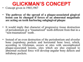 GLICKMAN’S CONCEPT
• Concept given in 1965,1967
• The pathway of the spread of a plaque-associated gingival
lesion can be changed if forces of an abnormal magnitude
are acting on teeth harboring subgingival plaque
• It would imply that character of progressive tissue destruction
of periodontium at a “traumatized” tooth different from that in a
“non-traumatized” tooth .
• Instead of an even destruction of the periodontium and alveolar
bone (suprabony pockets and horizontal bone loss), which,
according to Glickman, occurs at sites with uncomplicated
plaque-associated lesions, sites which are also exposed to
abnormal occlusal force will develop angular bony defects and
infrabony pockets.
 