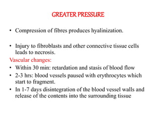 GREATER PRESSURE
• Compression of fibres produces hyalinization.
• Injury to fibroblasts and other connective tissue cells
leads to necrosis.
Vascular changes:
• Within 30 min: retardation and stasis of blood flow
• 2-3 hrs: blood vessels paused with erythrocytes which
start to fragment.
• In 1-7 days disintegration of the blood vessel walls and
release of the contents into the surrounding tissue
 