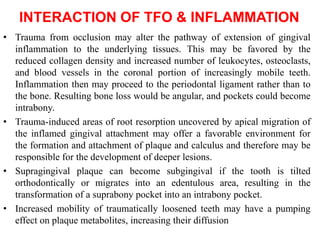 INTERACTION OF TFO & INFLAMMATION
• Trauma from occlusion may alter the pathway of extension of gingival
inflammation to the underlying tissues. This may be favored by the
reduced collagen density and increased number of leukocytes, osteoclasts,
and blood vessels in the coronal portion of increasingly mobile teeth.
Inflammation then may proceed to the periodontal ligament rather than to
the bone. Resulting bone loss would be angular, and pockets could become
intrabony.
• Trauma-induced areas of root resorption uncovered by apical migration of
the inflamed gingival attachment may offer a favorable environment for
the formation and attachment of plaque and calculus and therefore may be
responsible for the development of deeper lesions.
• Supragingival plaque can become subgingival if the tooth is tilted
orthodontically or migrates into an edentulous area, resulting in the
transformation of a suprabony pocket into an intrabony pocket.
• Increased mobility of traumatically loosened teeth may have a pumping
effect on plaque metabolites, increasing their diffusion
 