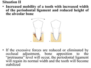 Situation II
• Increased mobility of a tooth with increased width
of the periodontal ligament and reduced height of
the alveolar bone
• If the excessive forces are reduced or eliminated by
occlusal adjustment, bone apposition to the
“pretrauma” level will occur, the periodontal ligament
will regain its normal width and the tooth will become
stabilized
 