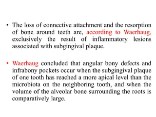 • The loss of connective attachment and the resorption
of bone around teeth are, according to Waerhaug,
exclusively the result of inflammatory lesions
associated with subgingival plaque.
• Waerhaug concluded that angular bony defects and
infrabony pockets occur when the subgingival plaque
of one tooth has reached a more apical level than the
microbiota on the neighboring tooth, and when the
volume of the alveolar bone surrounding the roots is
comparatively large.
 
