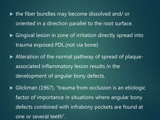  the fiber bundles may become dissolved and/ or
oriented in a direction parallel to the root surface.
 Gingival lesion in zone of irritation directly spread into
trauma exposed PDL.(not via bone)
 Alteration of the normal pathway of spread of plaque-
associated inflammatory lesion results in the
development of angular bony defects.
 Glickman (1967), “trauma from occlusion is an etiologic
factor of importance in situations where angular bony
defects combined with infrabony pockets are found at
one or several teeth”.
 