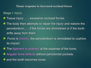 Tissue response to increased occlusal forces
Stage I: Injury.
Tissue injury ….. excessive occlusal forces.
The body then attempts to repair the injury and restore the
periodontium….. if the forces are diminished or if the tooth
drifts away from them.
Force is chronic, the periodontium is remodeled to cushion
its impact.
The ligament is widened at the expense of the bone,
Angular bone defects without periodontal pockets,
and the tooth becomes loose.
 