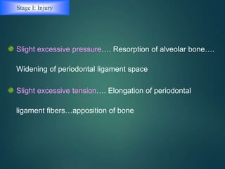 Stage I: Injury
Slight excessive pressure…. Resorption of alveolar bone….
Widening of periodontal ligament space
Slight excessive tension…. Elongation of periodontal
ligament fibers…apposition of bone
 
