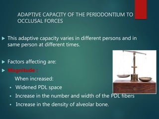 ADAPTIVE CAPACITY OF THE PERIODONTIUM TO
OCCLUSAL FORCES
 This adaptive capacity varies in different persons and in
same person at different times.
 Factors affecting are:
 Magnitude :
When increased:
 Widened PDL space
 Increase in the number and width of the PDL fibers
 Increase in the density of alveolar bone.
 