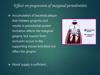 Effect on progression of marginal periodontitis
 Accumulation of bacterial plaque
that initiates gingivitis and
results in periodontal pocket
formation affects the marginal
gingiva, but trauma from
occlusion occurs in the
supporting tissues and does not
affect the gingiva
 blood supply is sufficient…
 