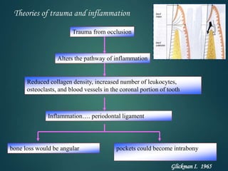 Theories of trauma and inflammation
Alters the pathway of inflammation
Reduced collagen density, increased number of leukocytes,
osteoclasts, and blood vessels in the coronal portion of tooth
Inflammation…. periodontal ligament
bone loss would be angular pockets could become intrabony
Trauma from occlusion
Glickman I. 1965
 
