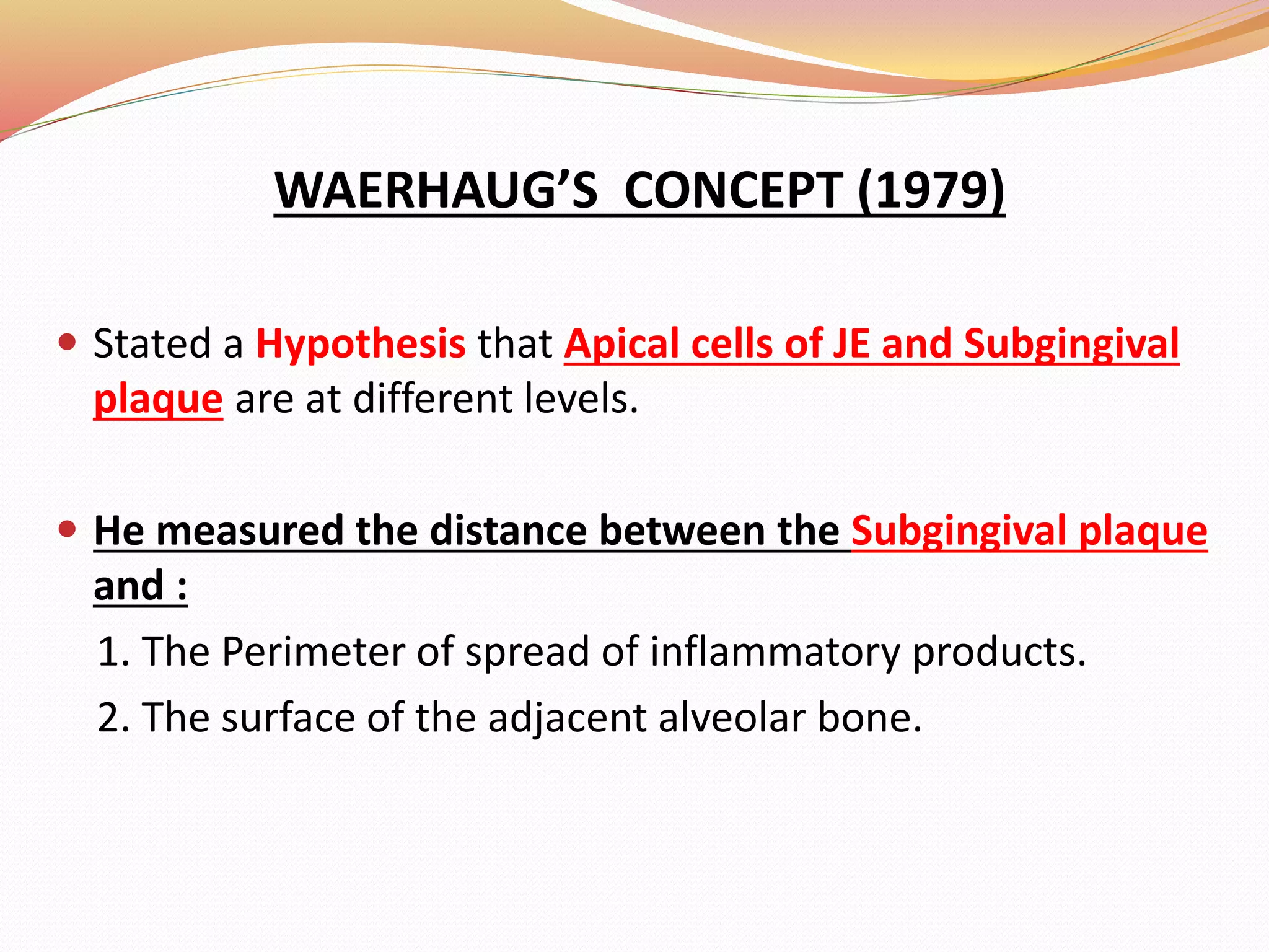 WAERHAUG’S CONCEPT (1979)
 Stated a Hypothesis that Apical cells of JE and Subgingival
plaque are at different levels.
 He measured the distance between the Subgingival plaque
and :
1. The Perimeter of spread of inflammatory products.
2. The surface of the adjacent alveolar bone.
 