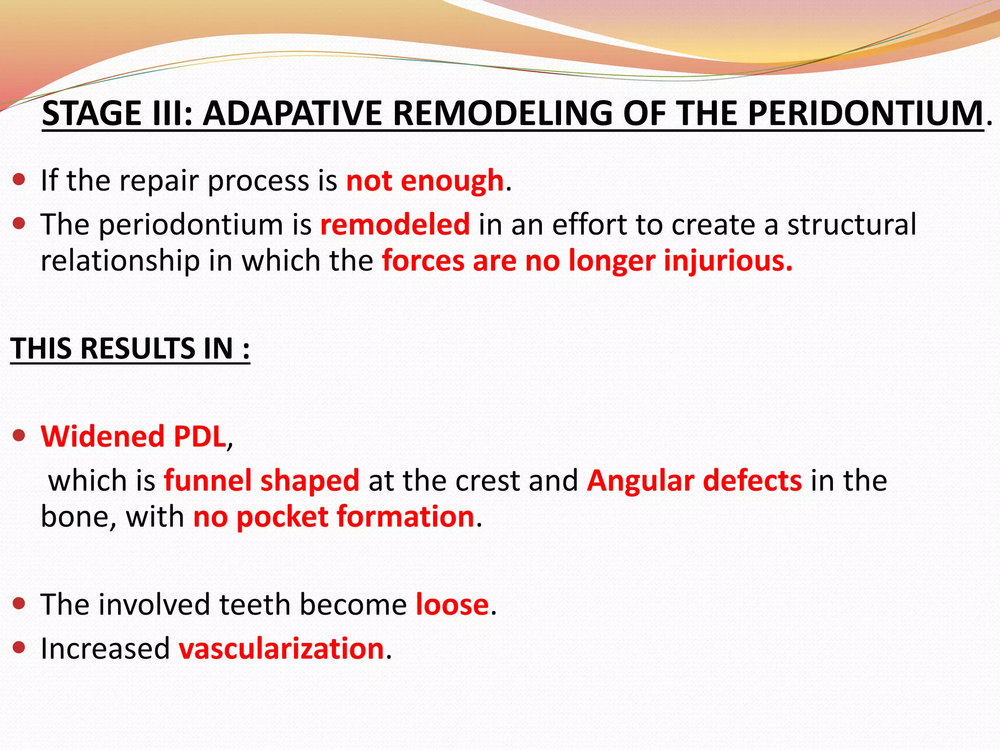 STAGE III: ADAPATIVE REMODELING OF THE PERIDONTIUM.
 If the repair process is not enough.
 The periodontium is remodeled in an effort to create a structural
relationship in which the forces are no longer injurious.
THIS RESULTS IN :
 Widened PDL,
which is funnel shaped at the crest and Angular defects in the
bone, with no pocket formation.
 The involved teeth become loose.
 Increased vascularization.
 