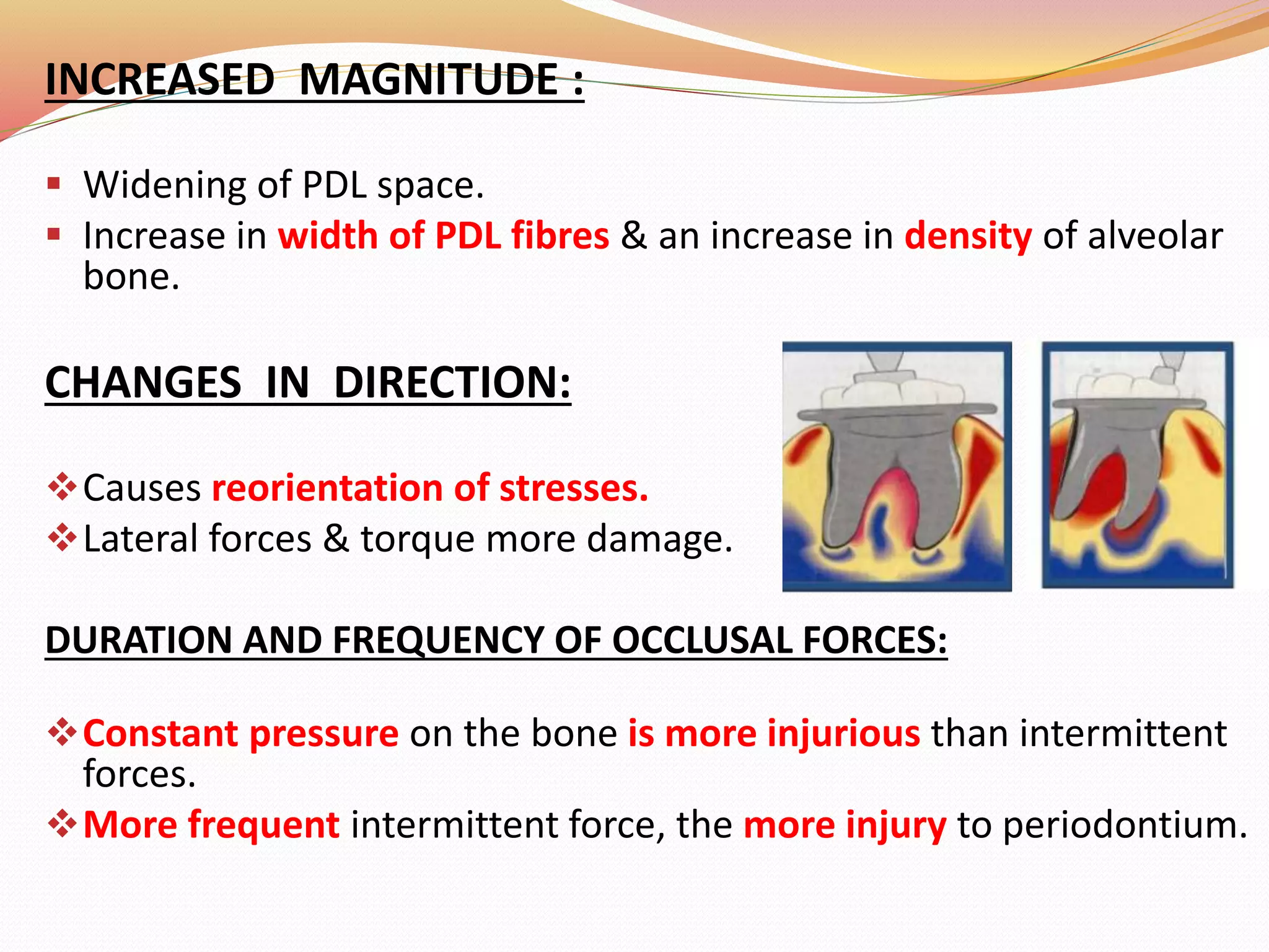 INCREASED MAGNITUDE :
 Widening of PDL space.
 Increase in width of PDL fibres & an increase in density of alveolar
bone.
CHANGES IN DIRECTION:
Causes reorientation of stresses.
Lateral forces & torque more damage.
DURATION AND FREQUENCY OF OCCLUSAL FORCES:
Constant pressure on the bone is more injurious than intermittent
forces.
More frequent intermittent force, the more injury to periodontium.
 