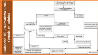 EvaluacióndelTraumatismoRenal
CerradoenAdultos
 