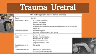 Trauma Uretral
 