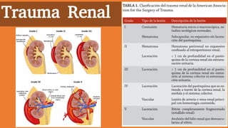 Trauma Renal
 