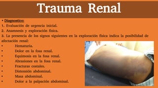Trauma Renal
• Diagnostico:
1. Evaluación de urgencia inicial.
2. Anamnesis y exploración fisica.
3. La presencia de los signos siguientes en la exploración física indica la posibilidad de
afectación renal:
• Hematuria.
• Dolor en la fosa renal.
• Equimosis en la fosa renal.
• Abrasiones en la fosa renal.
• Fracturas costales.
• Distensión abdominal.
• Masa abdominal.
• Dolor a la palpación abdominal.
 