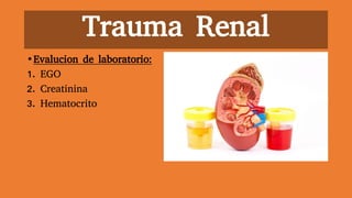 Trauma Renal
•Evalucion de laboratorio:
1. EGO
2. Creatinina
3. Hematocrito
 