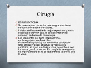 Cirugía
O ESPLENECTOMIA
O Se reserva para pacientes con sangrado activo o
hemodinámicamente inestables.
O Incision en línea media da mejor exposición que una
subcosta o chevron para la porción inferior del
abdomen en busca de hemorragia.
O Los ligamentos del bazo (esplenorrenal,
esplenogastrico, esplenócolico,
esplenodiafragmatico) son removidos para poder
rotar el bazo y poder observar la vasculatura
esplénica, se ligan la arteria y vena, se continua con
los vasos gástricos cortos. En cirugía de emergencia
no importa mucho si no se liga primerio la arteria que
la vena.
 