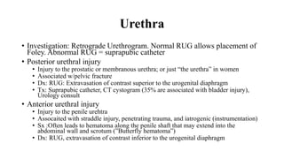Trauma I-1.pptx