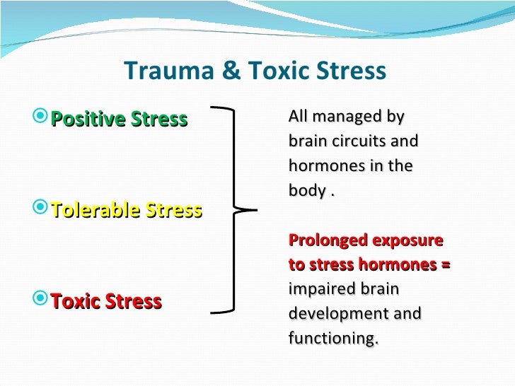 Trauma Informed Services and PBiS at LSSU