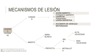 MECANISMOS DE LESIÓN
LESIONE
S
EXTERN
AS
CERRAD
O
ABIERTO
• AHORCAMIENTO /
ESTRANGULAMIENTO
• LESIÓN EN
TENDEDERO
• LESIÓN DEPORTIVA
• ACCIDENTE EN VEHICULO
MOTORIZADO
ARMA
BLANCA
PROYECTIL
BAL
A
METRALLET
A
ALTA
VELOCIDAD
BAJA
VELOCIDAD
Flint, P. et al. (2021). Cummings. Otolaryngology–head and neck surgery. Estados Unidos: Elsevier
Saunders.
Johnson, JT- & Rosen, CA. (2014). Bailey’s head & neck surgery. Otolaryngology. Estados Unidos: Lippincott Williams
& Wilkins.
Pasha, R & Golub, J. (2018). Otolaryngology – Head and neck surgery. Clinical Reference Guide. Estados Unidos:
 