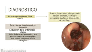 DIAGNOSTICO
Nasofaringoscopía con fibra
óptica
Aducción de la aritenoides –
fonación
Abducción de la aritenoides -
olfateo
Falla de las cuerdas vocales para
encontrarse en el mismo plano
horizontal - signo de lesión
cartilaginosa
Edema, hematoma, desgarro de
tejidos blandos, cartílago
expuesto, avulsión, dislocación
de cartílago.
Flint, P. et al. (2021). Cummings. Otolaryngology–head and neck surgery. Estados Unidos: Elsevier
Saunders.
Johnson, JT- & Rosen, CA. (2014). Bailey’s head & neck surgery. Otolaryngology. Estados Unidos: Lippincott Williams
& Wilkins.
Pasha, R & Golub, J. (2018). Otolaryngology – Head and neck surgery. Clinical Reference Guide. Estados Unidos:
 