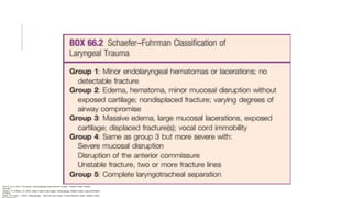 Flint, P. et al. (2021). Cummings. Otolaryngology–head and neck surgery. Estados Unidos: Elsevier
Saunders.
Johnson, JT- & Rosen, CA. (2014). Bailey’s head & neck surgery. Otolaryngology. Estados Unidos: Lippincott Williams
& Wilkins.
Pasha, R & Golub, J. (2018). Otolaryngology – Head and neck surgery. Clinical Reference Guide. Estados Unidos:
 