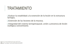 TRATAMIENTO
Evaluar la estabilidad y la extensión de la lesión en la estructura
laríngea.
Extensión de las lesiones de la mucosa.
Integridad del sistema laringotraqueal, unión y presencia de lesión
esofágica concomitante.
Flint, P. et al. (2021). Cummings. Otolaryngology–head and neck surgery. Estados Unidos: Elsevier
Saunders.
Johnson, JT- & Rosen, CA. (2014). Bailey’s head & neck surgery. Otolaryngology. Estados Unidos: Lippincott Williams
& Wilkins.
Pasha, R & Golub, J. (2018). Otolaryngology – Head and neck surgery. Clinical Reference Guide. Estados Unidos:
 