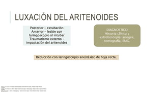 LUXACIÓN DEL ARITENOIDES
Posterior – extubación
Anterior – lesión con
laringoscopio al intubar
Traumatismo externo –
impactación del aritenoides
DIAGNOSTICO
Historia clínica y
estroboscopia laríngea,
tomografía, EMG.
Reducción con laringoscopio anestésico de hoja recta.
Flint, P. et al. (2021). Cummings. Otolaryngology–head and neck surgery. Estados Unidos: Elsevier
Saunders.
Johnson, JT- & Rosen, CA. (2014). Bailey’s head & neck surgery. Otolaryngology. Estados Unidos: Lippincott Williams
& Wilkins.
Pasha, R & Golub, J. (2018). Otolaryngology – Head and neck surgery. Clinical Reference Guide. Estados Unidos:
 