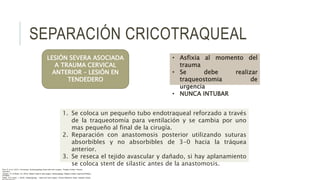 SEPARACIÓN CRICOTRAQUEAL
LESIÓN SEVERA ASOCIADA
A TRAUMA CERVICAL
ANTERIOR – LESIÓN EN
TENDEDERO
• Asfixia al momento del
trauma
• Se debe realizar
traqueostomia de
urgencia
• NUNCA INTUBAR
1. Se coloca un pequeño tubo endotraqueal reforzado a través
de la traqueotomía para ventilación y se cambia por uno
mas pequeño al final de la cirugía.
2. Reparación con anastomosis posterior utilizando suturas
absorbibles y no absorbibles de 3-0 hacia la tráquea
anterior.
3. Se reseca el tejido avascular y dañado, si hay aplanamiento
se coloca stent de silastic antes de la anastomosis.
Flint, P. et al. (2021). Cummings. Otolaryngology–head and neck surgery. Estados Unidos: Elsevier
Saunders.
Johnson, JT- & Rosen, CA. (2014). Bailey’s head & neck surgery. Otolaryngology. Estados Unidos: Lippincott Williams
& Wilkins.
Pasha, R & Golub, J. (2018). Otolaryngology – Head and neck surgery. Clinical Reference Guide. Estados Unidos:
 