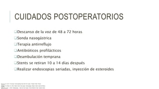CUIDADOS POSTOPERATORIOS
Descanso de la voz de 48 a 72 horas
Sonda nasogástrica
Terapia antirreflujo
Antibióticos profilácticos
Deambulación temprana
Stents se retiran 10 a 14 días después
Realizar endoscopias seriadas, inyección de esteroides
Flint, P. et al. (2021). Cummings. Otolaryngology–head and neck surgery. Estados Unidos: Elsevier
Saunders.
Johnson, JT- & Rosen, CA. (2014). Bailey’s head & neck surgery. Otolaryngology. Estados Unidos: Lippincott Williams
& Wilkins.
Pasha, R & Golub, J. (2018). Otolaryngology – Head and neck surgery. Clinical Reference Guide. Estados Unidos:
 