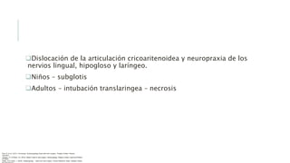 Dislocación de la articulación cricoaritenoidea y neuropraxia de los
nervios lingual, hipogloso y laríngeo.
Niños – subglotis
Adultos – intubación translaringea – necrosis
Flint, P. et al. (2021). Cummings. Otolaryngology–head and neck surgery. Estados Unidos: Elsevier
Saunders.
Johnson, JT- & Rosen, CA. (2014). Bailey’s head & neck surgery. Otolaryngology. Estados Unidos: Lippincott Williams
& Wilkins.
Pasha, R & Golub, J. (2018). Otolaryngology – Head and neck surgery. Clinical Reference Guide. Estados Unidos:
 