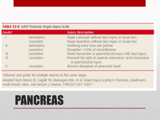 PANCREAS
 