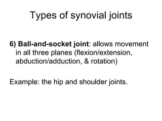 Types of synovial joints
6) Ball-and-socket joint: allows movement
in all three planes (flexion/extension,
abduction/adduction, & rotation)
Example: the hip and shoulder joints.
 